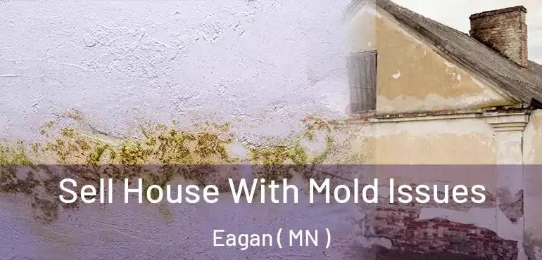  Sell House With Mold Issues Eagan ( MN )