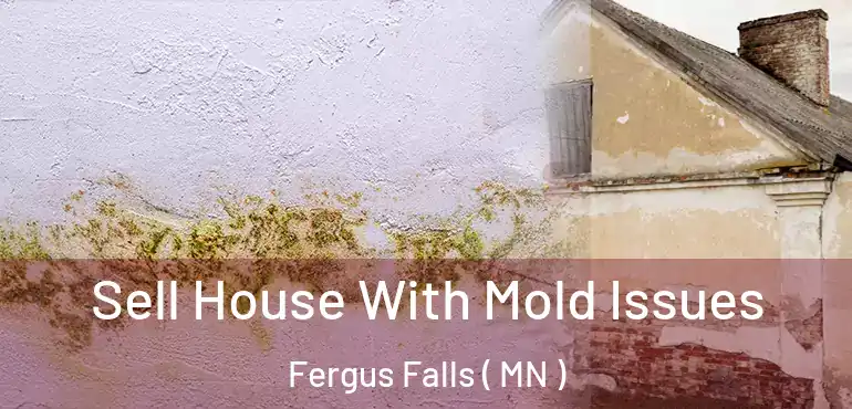  Sell House With Mold Issues Fergus Falls ( MN )