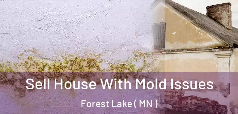  Sell House With Mold Issues Forest Lake ( MN )