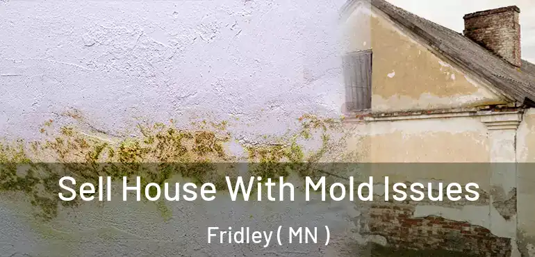  Sell House With Mold Issues Fridley ( MN )