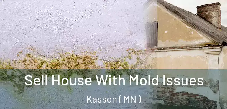  Sell House With Mold Issues Kasson ( MN )