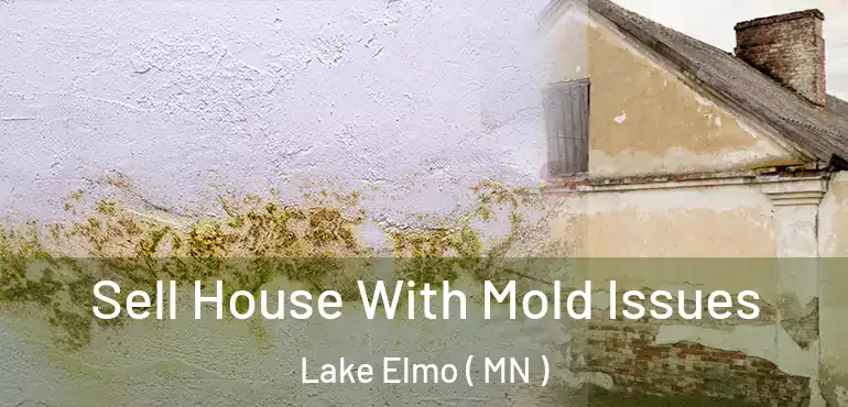  Sell House With Mold Issues Lake Elmo ( MN )