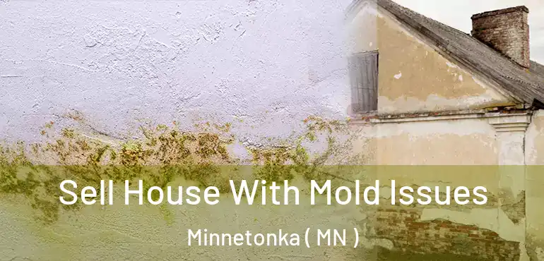  Sell House With Mold Issues Minnetonka ( MN )