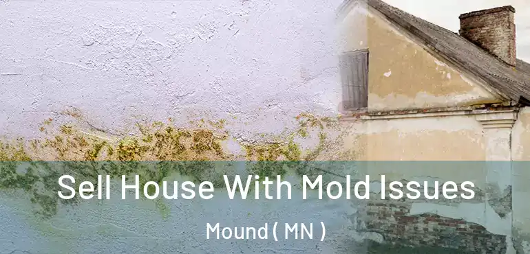  Sell House With Mold Issues Mound ( MN )