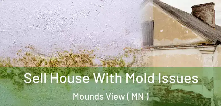  Sell House With Mold Issues Mounds View ( MN )