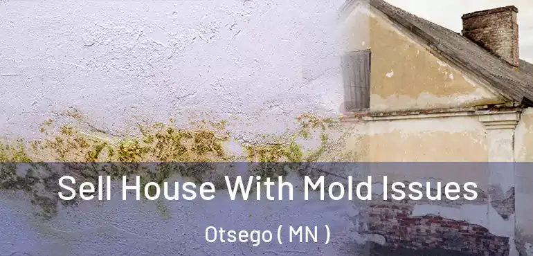  Sell House With Mold Issues Otsego ( MN )