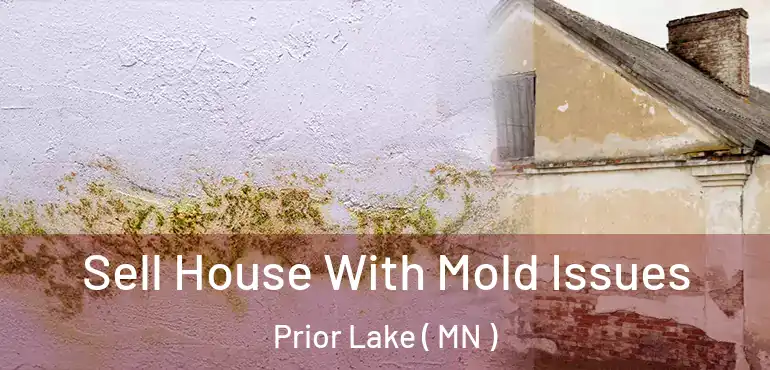  Sell House With Mold Issues Prior Lake ( MN )