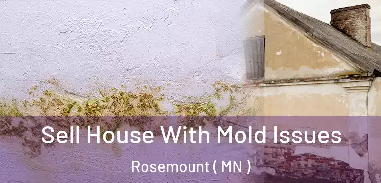  Sell House With Mold Issues Rosemount ( MN )