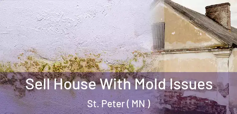  Sell House With Mold Issues St. Peter ( MN )