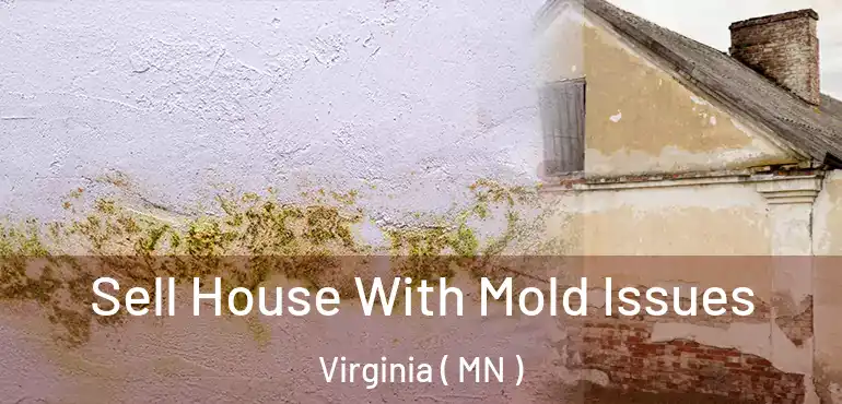  Sell House With Mold Issues Virginia ( MN )