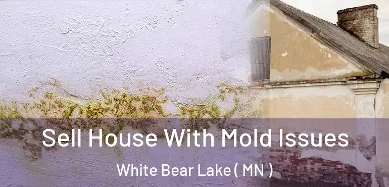  Sell House With Mold Issues White Bear Lake ( MN )