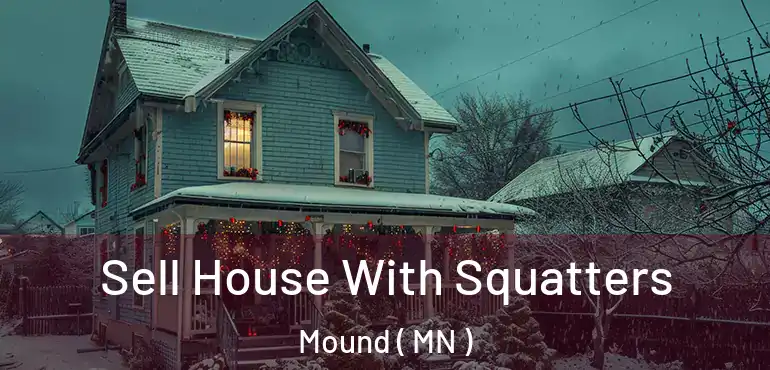  Sell House With Squatters Mound ( MN )