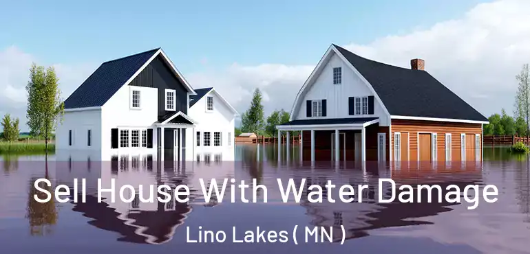  Sell House With Water Damage Lino Lakes ( MN )