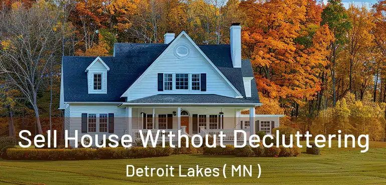  Sell House Without Decluttering Detroit Lakes ( MN )