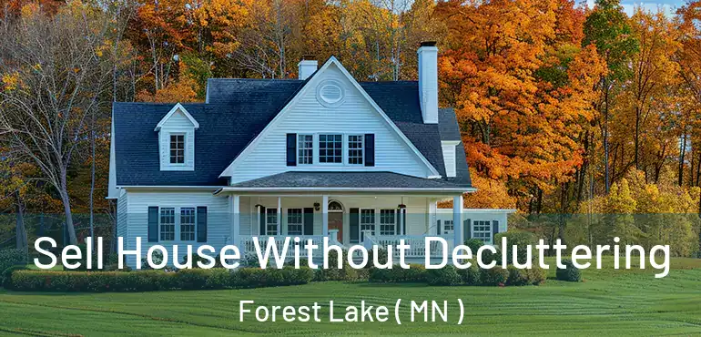  Sell House Without Decluttering Forest Lake ( MN )