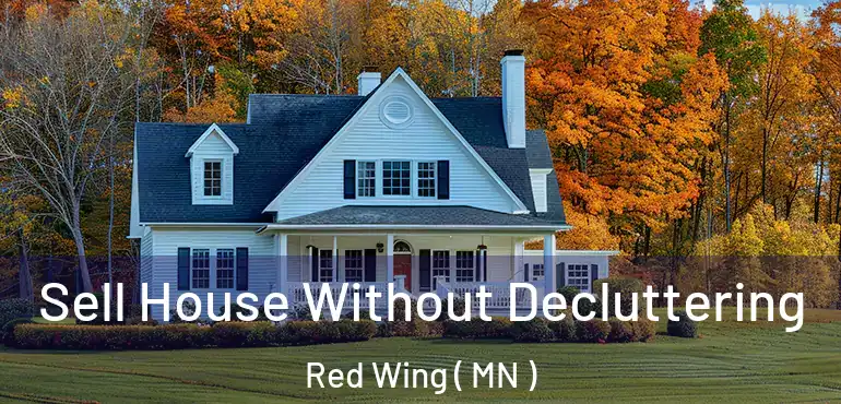  Sell House Without Decluttering Red Wing ( MN )