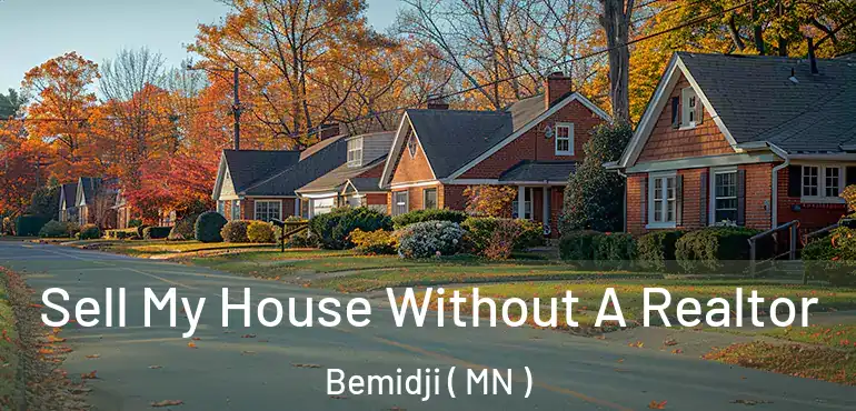  Sell My House Without A Realtor Bemidji ( MN )
