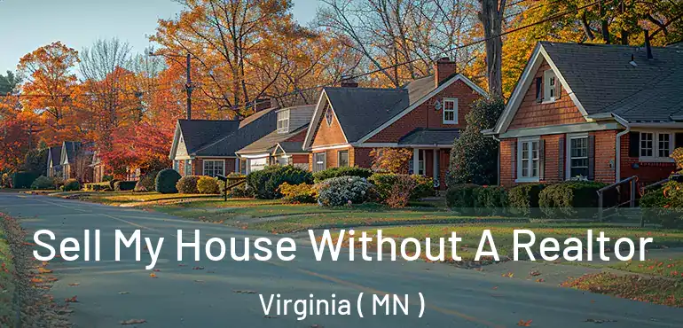  Sell My House Without A Realtor Virginia ( MN )
