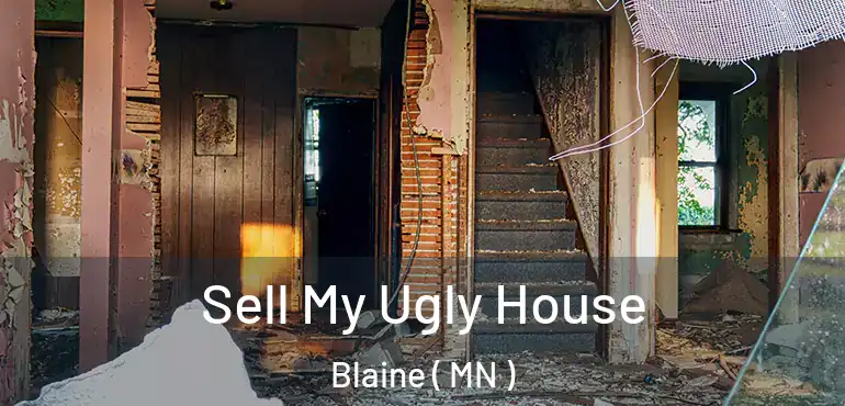  Sell My Ugly House Blaine ( MN )