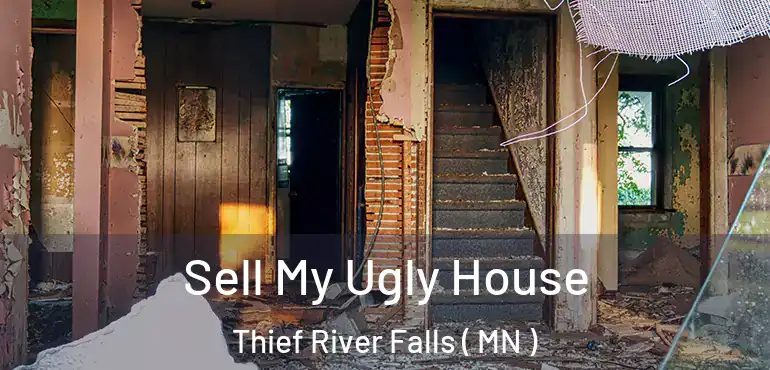  Sell My Ugly House Thief River Falls ( MN )
