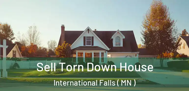 Sell Torn Down House International Falls ( MN )