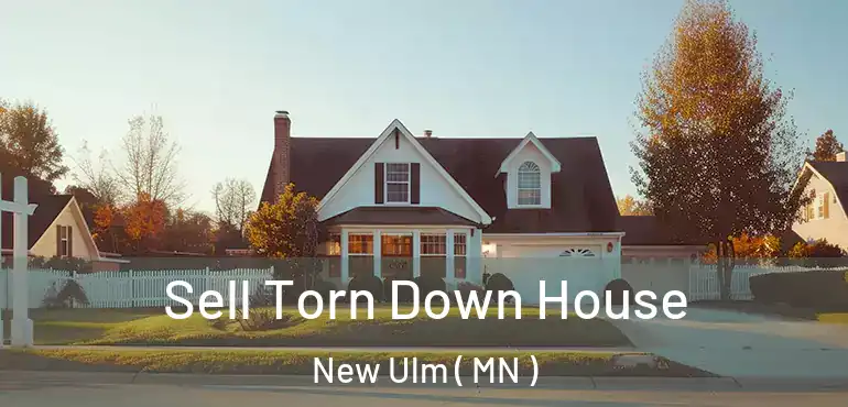 Sell Torn Down House New Ulm ( MN )