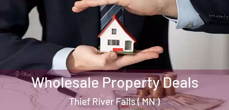  Wholesale Property Deals Thief River Falls ( MN )
